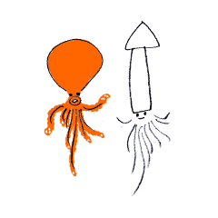 島で暮らす・タコさんイカさん