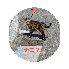 あいさつ彩由楓version