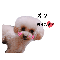 なかがわさんの家