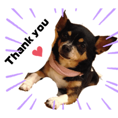 毎日がChillだよ！