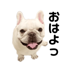 フレブル　ゴンザレス