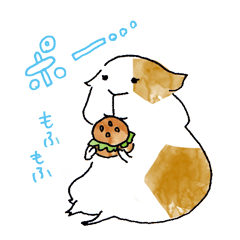 もふもふモルモットさん