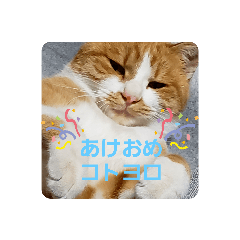 ニャンタンスタンプ&マメ助スタンプ