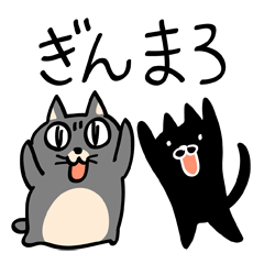 仲良し猫のぎんとまろ