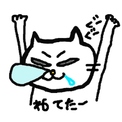 ノラ猫けんけん