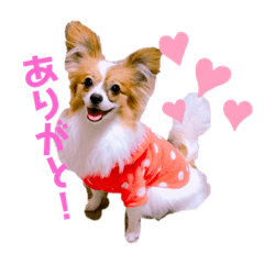 田辺家の皆さん