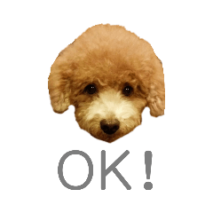 トイプードルの使えるわんちゃんスタンプ