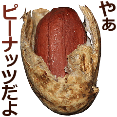 ピーナッツ。