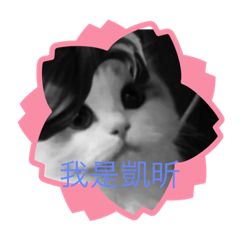 Kenny_20200904221310