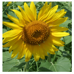 風景の写真スタンプ