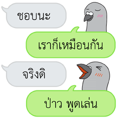 Let's Speak with Pigeon