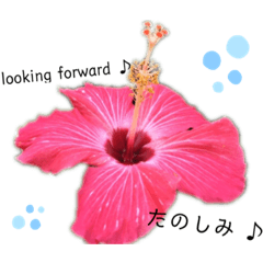 日常会話を風景写真で