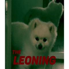 ポメラニアン次郎