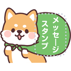 ころころ柴犬 メッセージ！