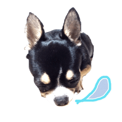 りるわん♪ friends