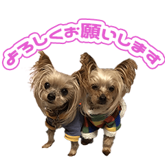 カノン・ハルト・クレアのスタンプ