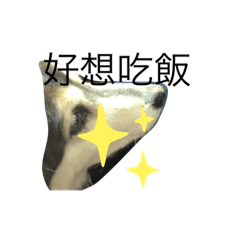 Sandy_20210118183825