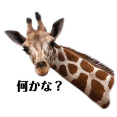 キリンくんとカピバラさん