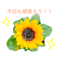 お花のスタンプ。