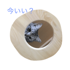 パンチクリン健太くんと仲間たち