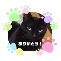 黒みぃちゃん(月読命)のスタンプ