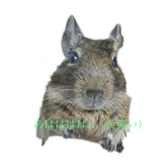 笑い系デグ太朗スタンプ