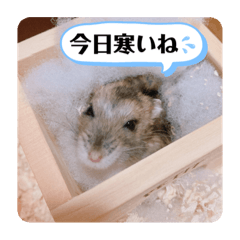 僕はイケメンのマロ！