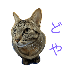 くうと一緒に。