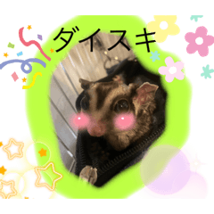 モモンガきいちゃん@れいな⑤