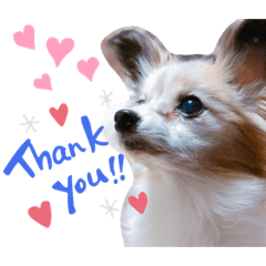 ことらのすたんぷ