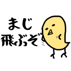 不機嫌そうで不機嫌じゃないひよこさん