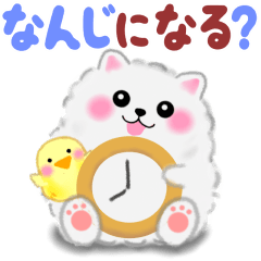 家族の連絡・ポメラニアン「ぽちゃん」