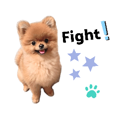 ちびポメわさび２