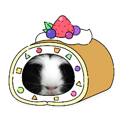 可愛いもるもっと