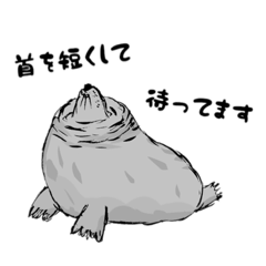 あざらしの日々