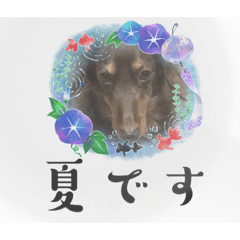 夏のクレアスタンプ！