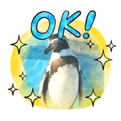 いきものだから