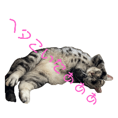 ハナサラ姉妹Ⅱ