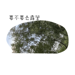 Phoebe_20221015190644