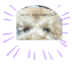 僕のワン(ひろゆき編)