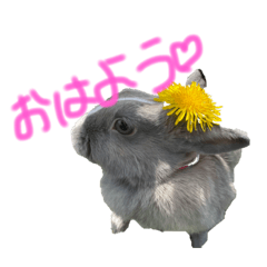 大好きなラビちゃん