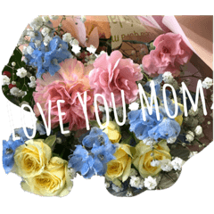 母の日と紫陽花