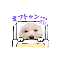 ラブリーたんかわちぃ