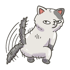 cat in parallel universe