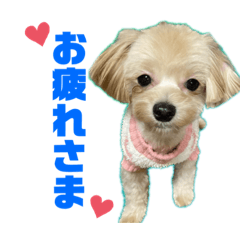 メルちゃんだよ！