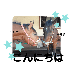 ホースランド安曇野のなかまたちスタンプ①