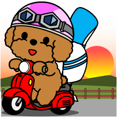 飛び出す！トイプー「ゴルフ編」