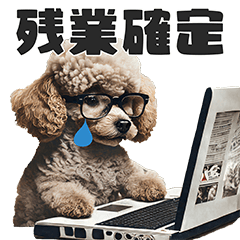 おしゃかわプードルさん【日常使い用】