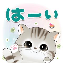 ねこちぃず♡よく使う言葉♡即答スタンプ