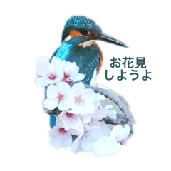 鳥っぷり！野鳥とリスのつぶやき大作戦